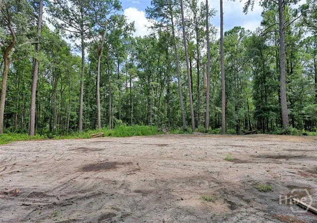 Homes for sale in Rincon, GA | 293 Anza Ln, Rincon, GA 31326 | MLS# SA358887