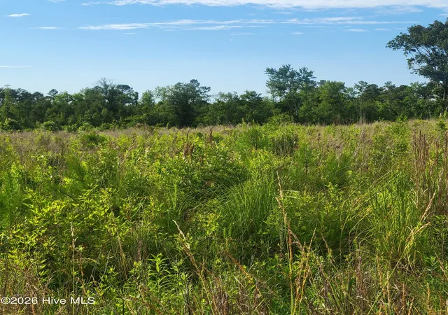 Photo 3 of Land for sale at 3215492710 Little Kelly Rd, Rocky Point, NC 28457 | MLS# 100578623 | Listing updated on 2026-09-23