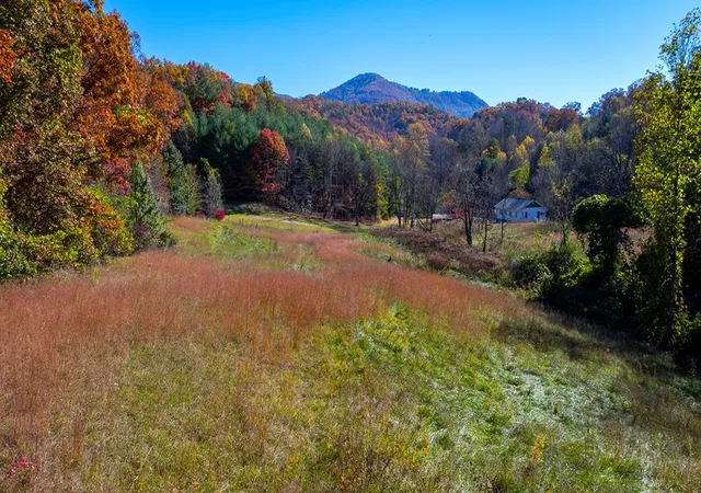 Photo 5 of House for sale at 173&130 Edwards Cvs Rd, Bryson City, NC 28713 | MLS# 98544078 | Listing updated on 2026-06-23