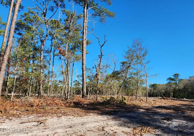 Photo 1 of Land for sale at Lot 93 Fletcher Key St, Southport, NC 28461 | MLS# 100596463 | Listing updated on 2026-08-14