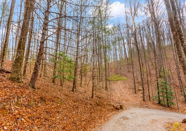 Photo 2 of Land for sale at 345 Ac Guy Eller Rd, Murphy, NC 28906 | MLS# 98539627 | Listing updated on 2026-06-10