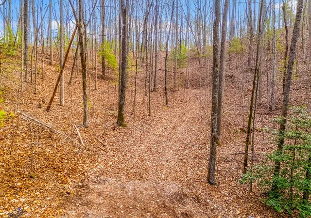 Photo 3 of Land for sale at 345 Ac Guy Eller Rd, Murphy, NC 28906 | MLS# 98539627 | Listing updated on 2026-09-16