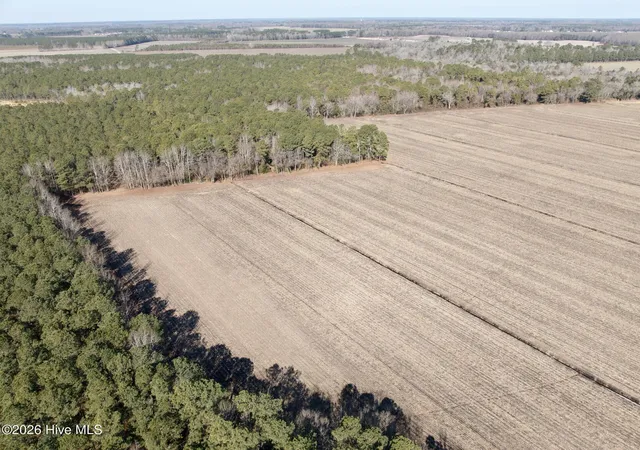 1st image of 0 Sandy Ridge Rd, Tyner, NC 27980 | MLS# 100554599