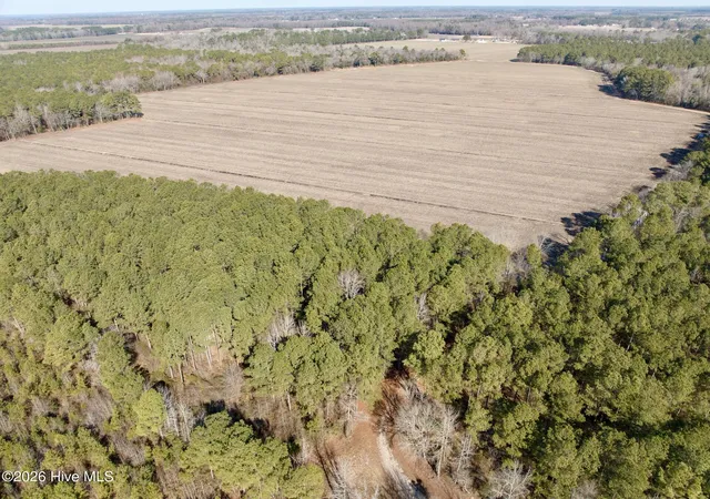 2nd image of 0 Sandy Ridge Rd, Tyner, NC 27980 | MLS# 100554599