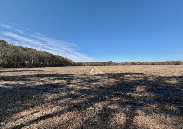 3rd image of 0 Sandy Ridge Rd, Tyner, NC 27980 | MLS# 100554599