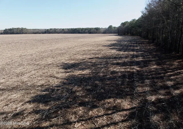 4th image of 0 Sandy Ridge Rd, Tyner, NC 27980 | MLS# 100554599