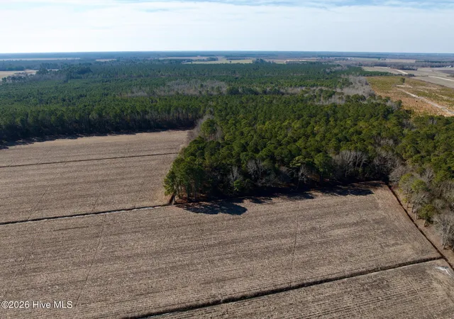 5th image of 0 Sandy Ridge Rd, Tyner, NC 27980 | MLS# 100554599