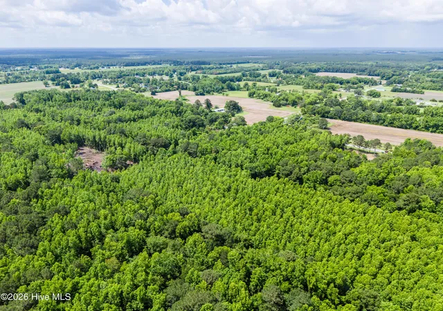 Photo 3 of Land for sale at Lot 6 Us Hwy 117 S, Willard, NC 28478 | MLS# 100577634 | Listing updated on 2026-08-28