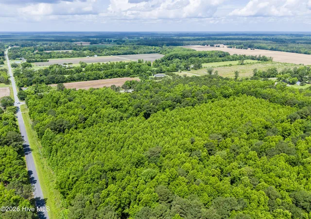 Photo 3 of Land for sale at Lot 6 US Hwy 117 S, Willard, NC 28478 | MLS# 100577634 | Listing updated on 2026-08-28