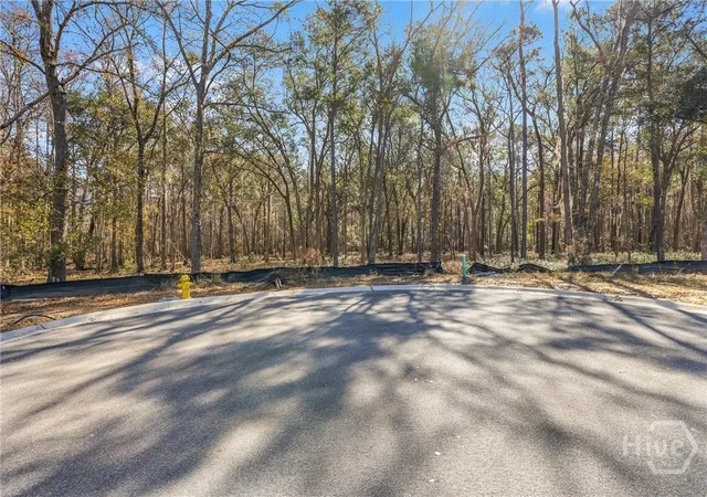 3rd image of 143 Wood Haven Ln, Pooler, GA 31322 | MLS# SA349415