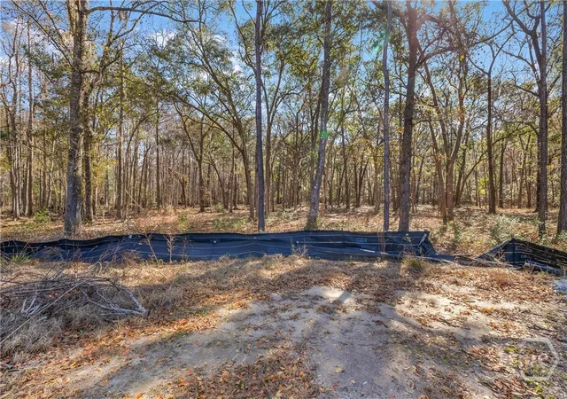 4th image of 143 Wood Haven Ln, Pooler, GA 31322 | MLS# SA349415