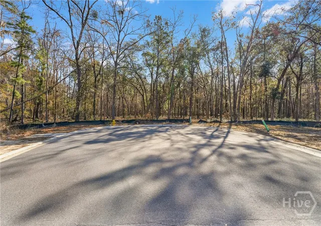 5th image of 143 Wood Haven Ln, Pooler, GA 31322 | MLS# SA349415