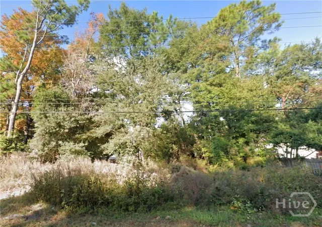 Photo 1 of Land for sale at 0 Johnny Mercer Blvd, Savannah, GA 31410 | MLS# SA358631 | Listing updated on 2026-07-27