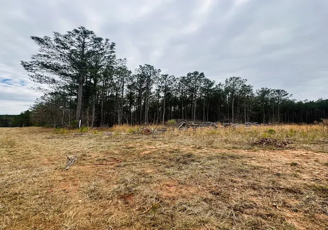 2nd image of Lot 14 Wisteria Dr, Lincolnton, GA 30817 | MLS# 98211969