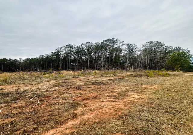 Photo 3 of Land for sale at Lot 14 Wisteria Dr, Lincolnton, GA 30817 | MLS# 98211969 | Listing updated on 2026-08-17