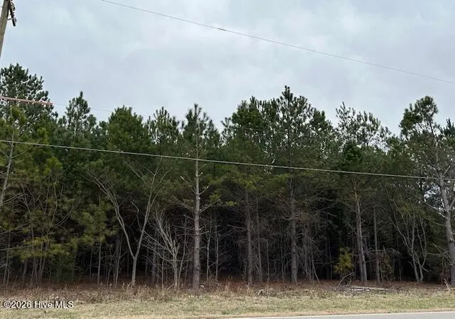 Photo 1 of Land for sale at 0 Peele Rd, Rocky Mount, NC 27804 | MLS# 100549986 | Listing updated on 2026-09-16