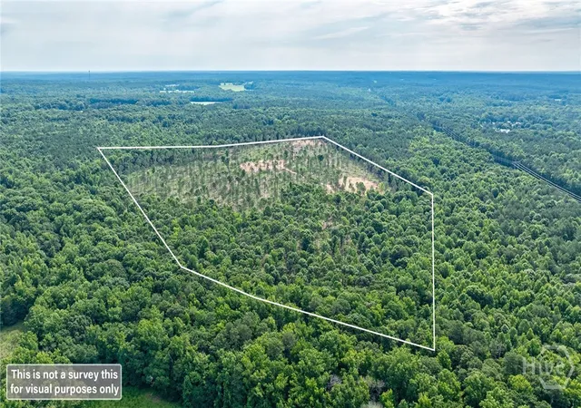 Homes for sale in Arnoldsville, GA | 0 Wilson Lane, Arnoldsville, GA 30619 | MLS# CL343171