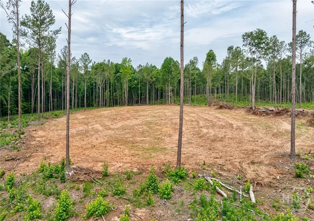 Homes for sale in Arnoldsville, GA | 0 Wilson Lane, Arnoldsville, GA 30619 | MLS# CL343171