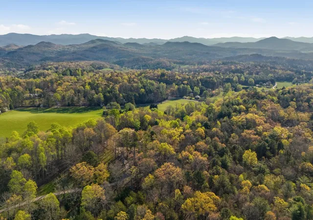 Homes for sale in Brasstown, NC | 853 Caler Rd, Brasstown, NC 28902 | MLS# 98544308
