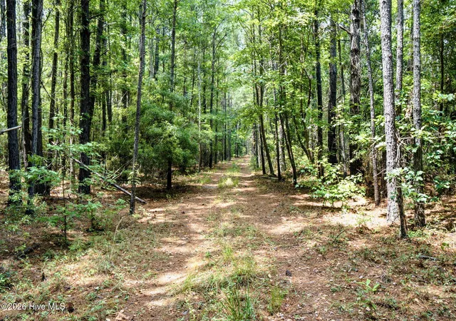 Photo 4 of Land for sale at 422 Benton Rd SE, Bolivia, NC 28422 | MLS# 100589221 | Listing updated on 2026-07-15