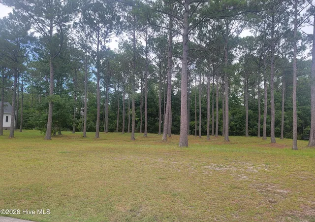 Photo 3 of Land for sale at 6368 Blenhiem Pl Sw, Ocean Isle Beach, NC 28469 | MLS# 100591929 | Listing updated on 2026-07-28