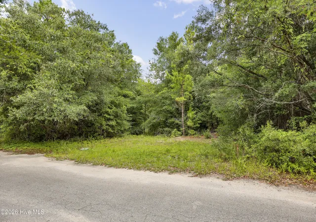 Photo 2 of Land for sale at 312 Alexander Pl, Wilmington, NC 28411 | MLS# 100593496 | Listing updated on 2026-08-07