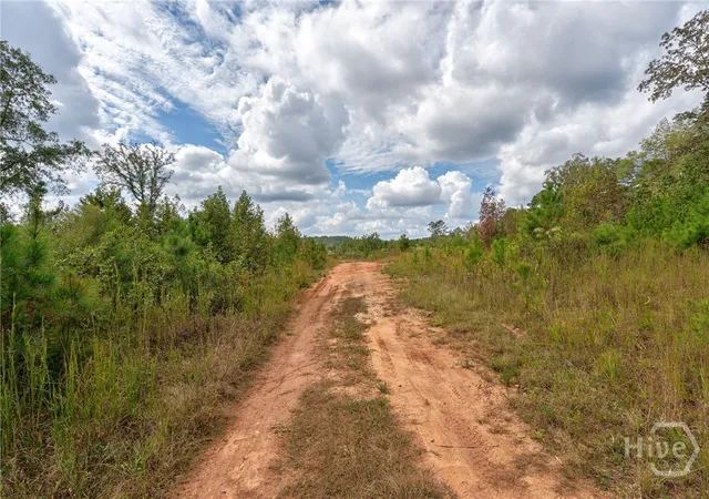 Homes for sale in Watkinsville, GA | 00 Old Salem Rd #Tract 2, Watkinsville, GA 30677 | MLS# CL341537