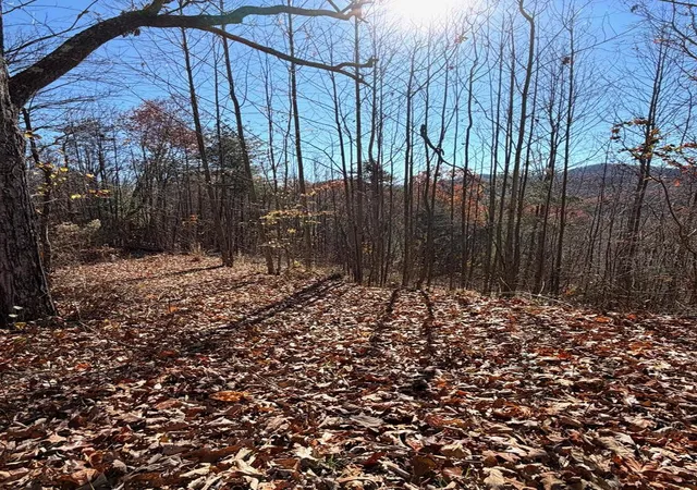 Photo 4 of Land for sale at Lot 13 View Ridge Trl, Murphy, NC 28906 | MLS# 100593422 | Listing updated on 2026-10-07
