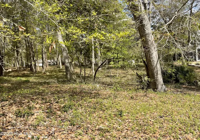 5th image of 9123 Ocean Harbour Golf Club Rd, Calabash, NC 28467 | MLS# 100511879