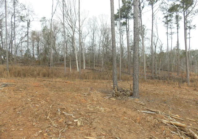 1st image of 3 E Mosley Rd, Lincolnton, GA 30817 | MLS# 98254483