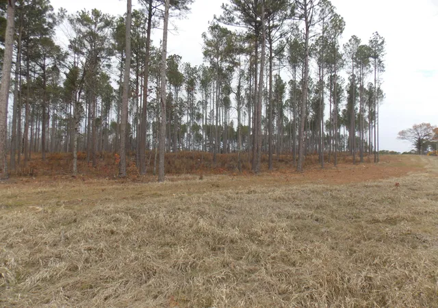 2nd image of 3 E Mosley Rd, Lincolnton, GA 30817 | MLS# 98254483