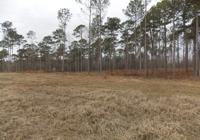 3rd image of 3 E Mosley Rd, Lincolnton, GA 30817 | MLS# 98254483