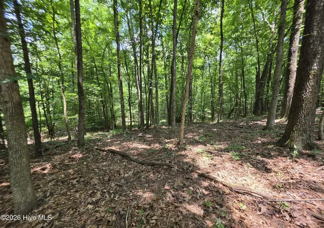 4th image of 000 Court Ground Rd, Washington, GA 30673 | MLS# 100587052
