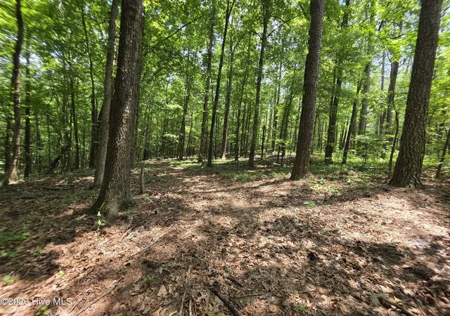5th image of 000 Court Ground Rd, Washington, GA 30673 | MLS# 100587052
