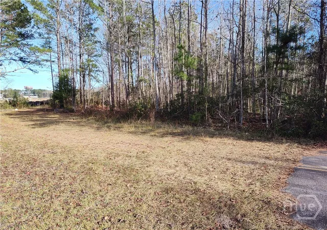 1st image of 620 Morgan St, Pooler, GA 31322 | MLS# SA355498
