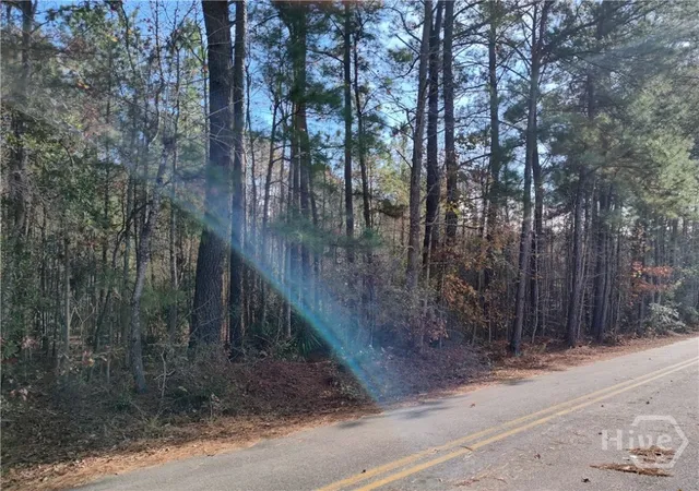 5th image of 620 Morgan St, Pooler, GA 31322 | MLS# SA355498