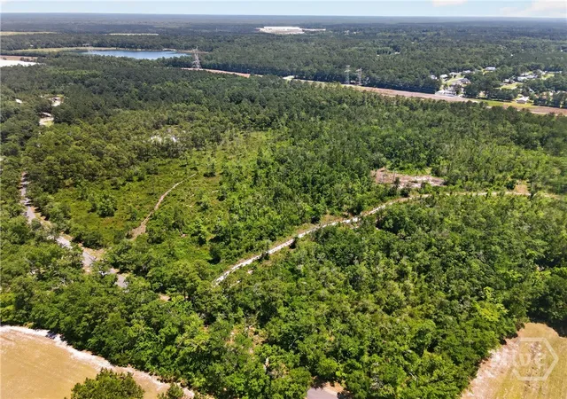 Photo 3 of Land for sale at 241 Barney Rd, Rincon, GA 31326 | MLS# SA357786 | Listing updated on 2026-07-07