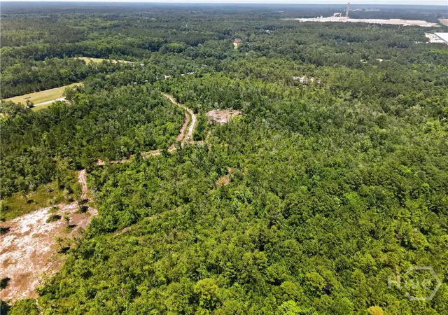 Photo 3 of Land for sale at 241 Barney Rd, Rincon, GA 31326 | MLS# SA357786 | Listing updated on 2026-07-07
