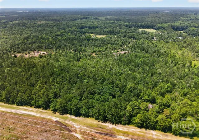 Photo 4 of Land for sale at 241 Barney Rd, Rincon, GA 31326 | MLS# SA357786 | Listing updated on 2026-07-07