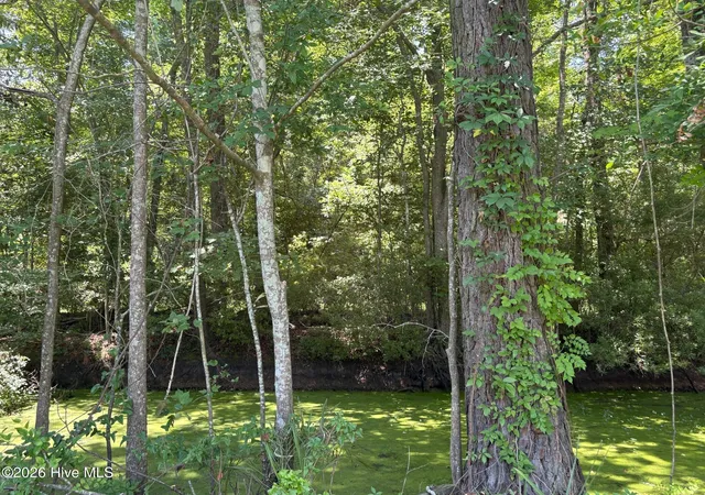 Homes for sale in Lake Waccamaw, NC | Near 2072 Waccamaw Shores Rd, Lake Waccamaw, NC 28450 | MLS# 100583741
