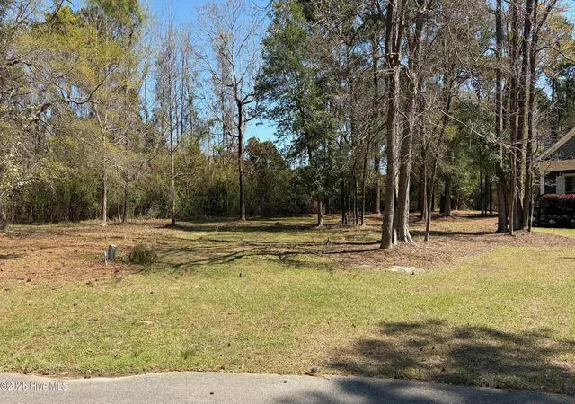 1st image of 429 Burgee Ct, Castle Hayne, NC 28429 | MLS# 100561652