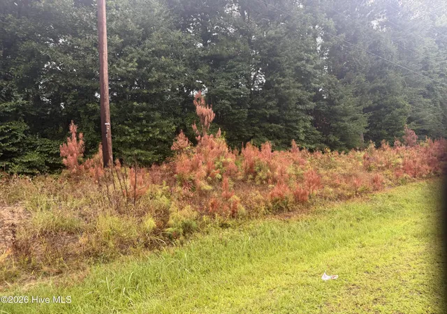 Photo 3 of Land for sale at 000 Richlands Hwy, Jacksonville, NC 28540 | MLS# 100591364 | Listing updated on 2026-08-07