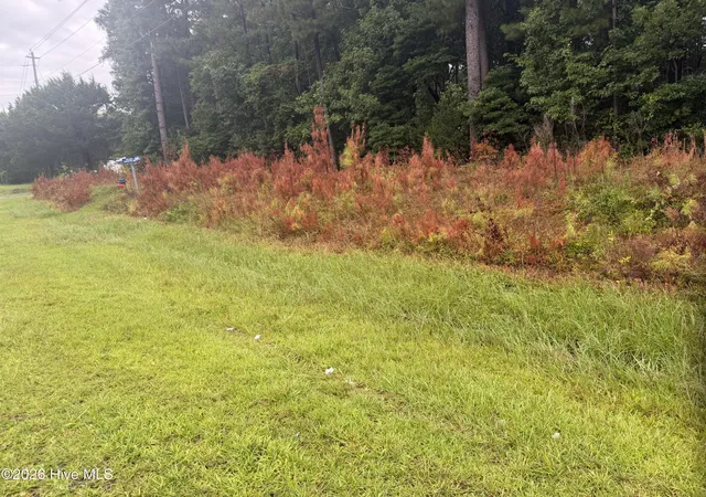 Photo 3 of Land for sale at 000 Richlands Hwy, Jacksonville, NC 28540 | MLS# 100591364 | Listing updated on 2026-08-07