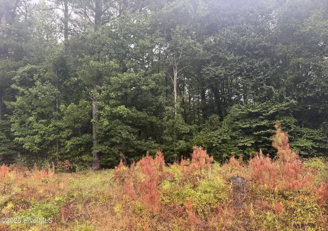 Photo 4 of Land for sale at 000 Richlands Hwy, Jacksonville, NC 28540 | MLS# 100591364 | Listing updated on 2026-08-07