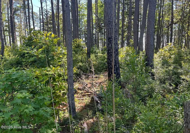 Photo 3 of Land for sale at 570 Highway 70, Smyrna, NC 28579 | MLS# 100574607 | Listing updated on 2026-09-22