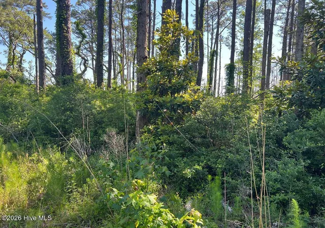 Photo 3 of Land for sale at 570 Highway 70, Smyrna, NC 28579 | MLS# 100574607 | Listing updated on 2026-09-22
