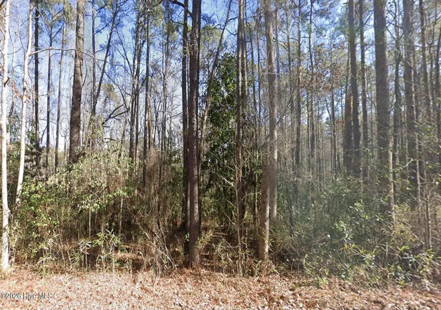 Homes for sale in Spring Lake, NC | 1669 Rainey Dr, Spring Lake, NC 28390 | MLS# 100569746