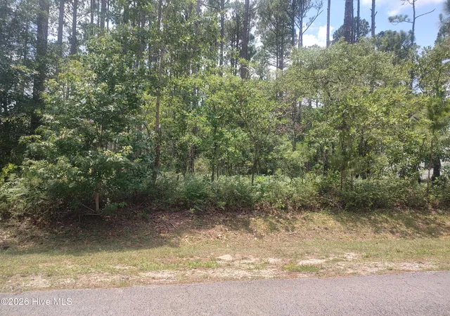 Photo 1 of Land for sale at 906 Bee Tree Ct, New Bern, NC 28560 | MLS# 100584710 | Listing updated on 2026-07-28