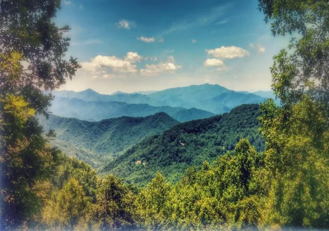 Photo 1 of Land for sale at 00 E Alarka Rd, Bryson City, NC 28713 | MLS# 98525457 | Listing updated on 2026-06-29