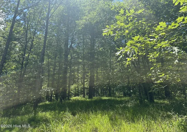 1st image of Lot 29 Honeysuckle Trail, Lincolnton, GA 30817 | MLS# 100578506